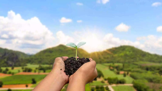 The Truth About “Eco-Friendly”: How to Spot Genuine Sustainable Products (and Avoid Greenwashing)